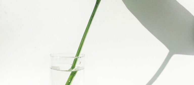 Scopri di più sull'articolo Non è solo un bicchiere