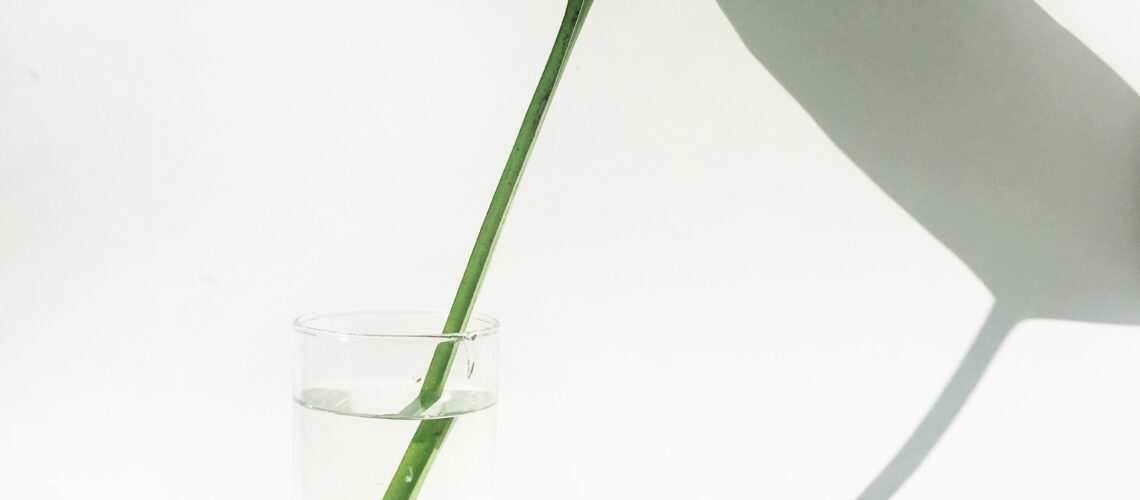 Scopri di più sull'articolo Non è solo un bicchiere